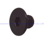 S159 HEX PLATE SCREW