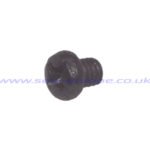 31 PLATE SCREW