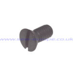 107038-003 SCREW