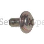 13S5X10 SCREWS FOR NEW LONG MOTOR (NEW STYLE)
